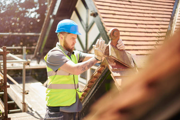 Best Roof Gutter Cleaning  in Northlakes, NC